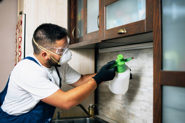 Best Pest Inspection Near Me  in Baiting Hollow, NY