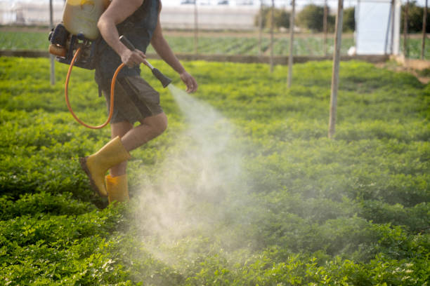 Best Exterminator Services  in Baiting Hollow, NY