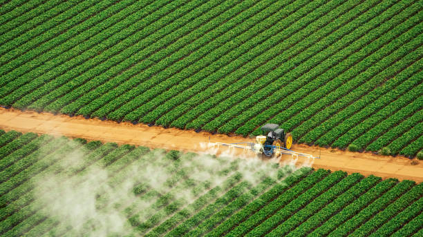Best Mosquito Control Services  in Baiting Hollow, NY