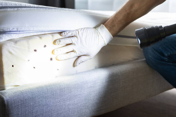 Best Best Pest Control Companies  in Baiting Hollow, NY
