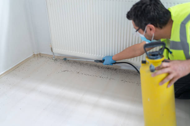 Best Pest Prevention Services  in Baiting Hollow, NY