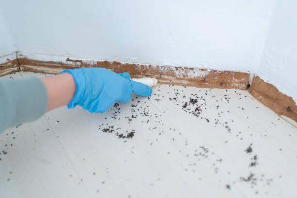 Best Pest Removal Services  in Baiting Hollow, NY