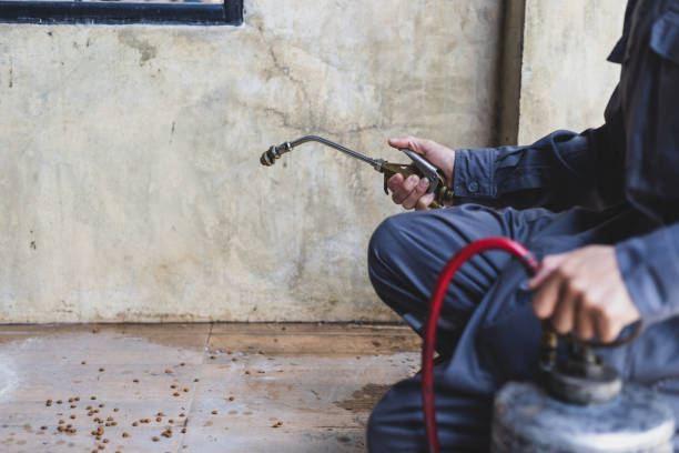 Best Residential Pest Control  in Baiting Hollow, NY