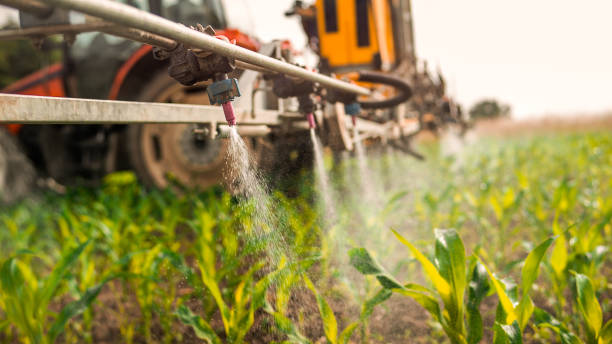 Best Ant Control Services  in Baiting Hollow, NY